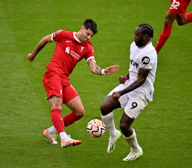 特瓦斯指出 特瓦斯指出